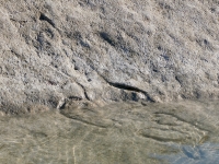 Priapic figure (submerged) and partial female figure. Chicago Lakefront stone carvings, south of La Rabida Hospital. 2025 Priapic figure (submerged) and partial female figure. Chicago Lakefront stone carvings, south of La Rabida Hospital. 2025