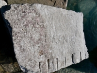 Beans. Chicago Lakefront stone carvings, south of La Rabida Hospital. 2025 Beans. Chicago Lakefront stone carvings, south of La Rabida Hospital. 2025