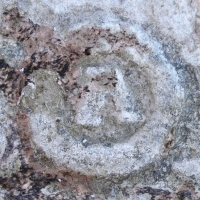 Circle A. Chicago Lakefront stone carvings, south of La Rabida Hospital. 2025 Circle A. Chicago Lakefront stone carvings, south of La Rabida Hospital. 2025