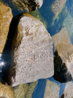 J. KIR, WB, VM, M. Chicago lakefront stone carvings, south of La Rabida Hospital. 2023 J. KIR, WB, VM, M. Chicago lakefront stone carvings, south of La Rabida Hospital. 2023