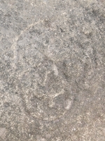 Face (detail), Lynn, others. Chicago Lakefront stone carvings, south of La Rabida Hospital. 2025 Face (detail), Lynn, others. Chicago Lakefront stone carvings, south of La Rabida Hospital. 2025