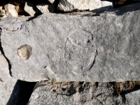 Possibly an incomplete face. Chicago Lakefront stone carvings, south of La Rabida Hospital. 2025 Possibly an incomplete face. Chicago Lakefront stone carvings, south of La Rabida Hospital. 2025