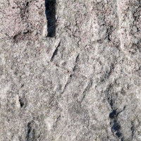 Swastika (detail), Don R. Chicago Lakefront stone carvings, south of La Rabida Hospital. 2025 Swastika (detail), Don R. Chicago Lakefront stone carvings, south of La Rabida Hospital. 2025