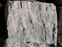 Swastika, Don R. Chicago Lakefront stone carvings, south of La Rabida Hospital. 2025 Swastika, Don R. Chicago Lakefront stone carvings, south of La Rabida Hospital. 2025