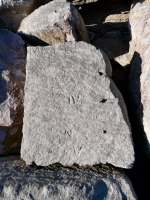 Merrill Orme, Al, A, N. Chicago Lakefront stone carvings, south of La Rabida Hospital. 2025 Merrill Orme, Al, A, N. Chicago Lakefront stone carvings, south of La Rabida Hospital. 2025