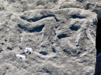 Autograph Rock: Richard Wine, HE, the Swede, AI, Tom, DIM, JK, OZE, LAM, M-7 (detail). Chicago lakefront stone carvings, south of La Rabida Hospital. 2025 Autograph Rock: Richard Wine, HE, the Swede, AI, Tom, DIM, JK, OZE, LAM, M-7 (detail). Chicago lakefront stone carvings, south of La Rabida Hospital. 2025