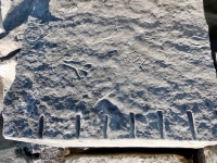Incomplete peace symbol, CDL, ML, hourglass, NJ Haab. Chicago lakefront stone carvings, south of La Rabida Hospital. 2025 Incomplete peace symbol, CDL, ML, hourglass, NJ Haab. Chicago lakefront stone carvings, south of La Rabida Hospital. 2025