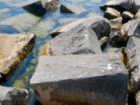 Nick, DW, CK, Trettel, others. Chicago lakefront stone carvings, south of La Rabida Hospital. 2023 Nick, DW, CK, Trettel, others. Chicago lakefront stone carvings, south of La Rabida Hospital. 2023