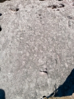 R^C, T.A. Chicago Lakefront stone carvings, south of La Rabida Hospital. 2025 R^C, T.A. Chicago Lakefront stone carvings, south of La Rabida Hospital. 2025