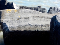 Footprints, Jetvin, George + Judy, Chicago lakefront stone carvings, Rainbow Beach. 2019