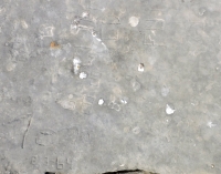 Tom 63-64, Cliff, Ed, BS+Bon, FUN. Chicago lakefront stone carvings, Rainbow Beach jetty. 2022 Tom 63-64, Cliff, Ed, BS+Bon, FUN. Chicago lakefront stone carvings, Rainbow Beach jetty. 2022
