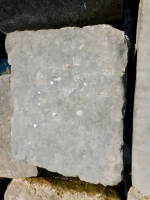 Tom 8-3-64, 85 89, Cliff, Ed Fungi. Chicago lakefront stone carvings, Rainbow Beach jetty. 2022 Tom 8-3-64, 85 89, Cliff, Ed Fungi. Chicago lakefront stone carvings, Rainbow Beach jetty. 2022
