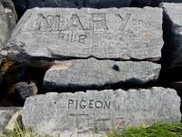 Mary, Dave 63, Billy, Prese, Pigeon Time(?). Chicago lakefront stone carvings, Rainbow Beach. 2019