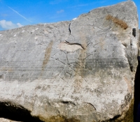 Little devil, detail. Chicago lakefront stone carvings, Rainbow Beach jetty. 2022