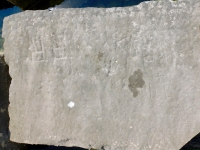 RR, KK, Karen, RG + DE. Chicago lakefront stone carvings, Rainbow Beach jetty. 2022