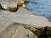 HOM/INS. Chicago lakefront stone carvings, Rainbow Beach jetty. 2022
