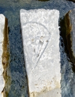 Parachute, Airborne, REG M. Chicago lakefront stone carvings, Rainbow Beach jetty. 2019