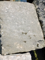 H, Jim, Carl, M. Chicago lakefront stone carvings, Rainbow Beach jetty. 2022