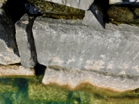 Dan. Chicago lakefront stone carvings, Rainbow Beach jetty. 2022