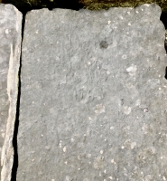 Indecipherable 1968. Chicago lakefront stone carvings, Rainbow Beach jetty. 2022