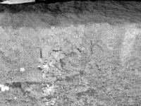 Tank. Chicago lakefront stone carvings, Rainbow Beach. 2019