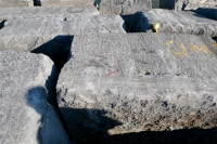 Ian. Chicago lakefront stone carvings, Rainbow Beach. 2021