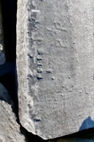 Figure with a dress (top center), Tom 67, Totto, Fred, Rita, others, P+R. Chicago lakefront stone carvings, Rainbow Beach. 2021