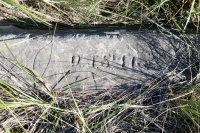 O.J.S. 11. Chicago lakefront stone carvings, Rainbow Beach. 2021