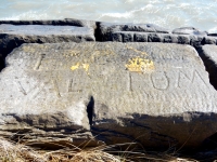 Val, Gamma Theta Mu, Jenny. Chicago lakefront stone carvings, Rainbow Beach. 2019