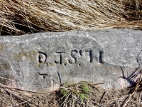 D.J.S. '71. Chicago lakefront stone carvings, Rainbow Beach. 2019