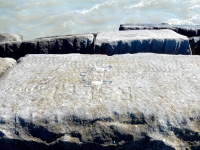 Rolph. Chicago lakefront stone carvings, Rainbow Beach. 2019