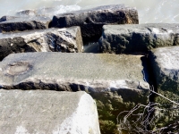 Den. Chicago lakefront stone carvings, Rainbow Beach. 2019