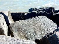 Ron. Chicago lakefront stone carvings, Rainbow Beach. 2019