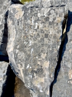 Checkerboard, Howie, others. Chicago lakefront stone carvings, Rainbow Beach North. 2019