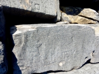 Barney. Chicago lakefront stone carvings, Rainbow Beach North. 2019