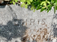 Chris. Chicago lakefront stone carvings, Rainbow Beach North. 2019