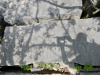 Ray and others, Bill's shadow. Chicago lakefront stone carvings, Rainbow Beach North. 2019