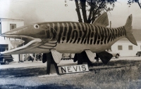 Nevis Fish statue postcard
