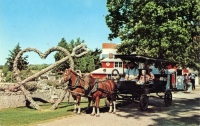 Rockome Gardens postcard