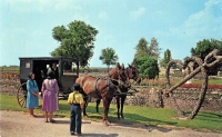 Rockome Gardens postcard Rockome Gardens postcard