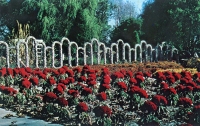 Rockome Gardens postcard Rockome Gardens postcard