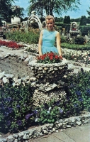 Rockome Gardens postcard Rockome Gardens postcard