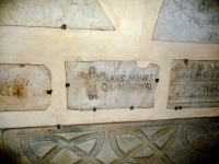 Fragments, Santa Maria in Trastevere, Rome