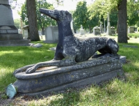 Rosehill grave site dog: E.H. Stein, 1827-1871 Rosehill grave site dog: E.H. Stein, 1827-1871