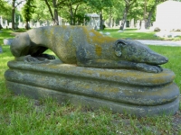 Rosehill grave site dog: E.H. Stein, 1827-1871 Rosehill grave site dog: E.H. Stein, 1827-1871