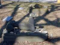 Rosehill grave site damaged dog: E.H. Stein, 1827-1871 Rosehill grave site damaged dog: E.H. Stein, 1827-1871
