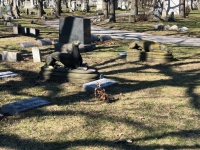 Rosehill grave site with twin dogs after the damage: E.H. Stein, 1827-1871 Rosehill grave site with twin dogs after the damage: E.H. Stein, 1827-1871