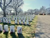 Rosehill gravestones: Civil War graves