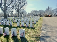 Rosehill gravestones: Civil War graves Rosehill gravestones: Civil War graves