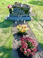 Rosehill grave marker: Iulia Radutiu, 1985-2010